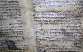 ספרת תורה בן 600 שנים שהוברח מסוריה לטורקיה (צילום: צילום מסך)