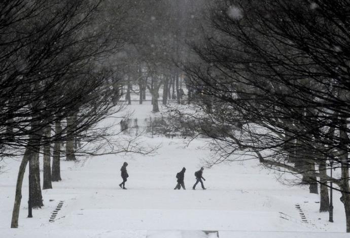 פארק מכוסה שלג בברוקלין (צילום:  רויטרס)