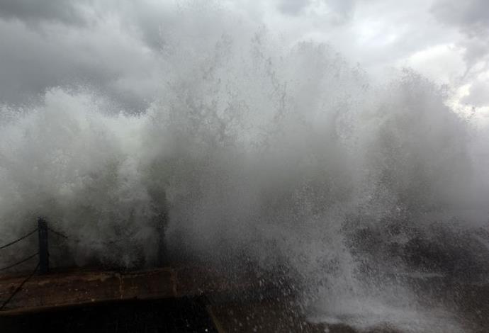 סערה בנמל יפו (צילום:  אריאל בשור)