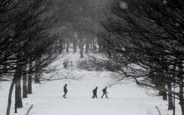 פארק מכוסה שלג בברוקלין (צילום: רויטרס)