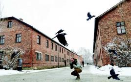 מחנה ההשמדה אושוויץ (צילום: רויטרס)