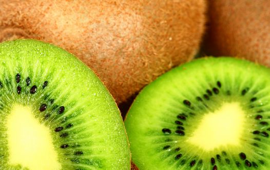 Kiwi (Foto: Ingameg)