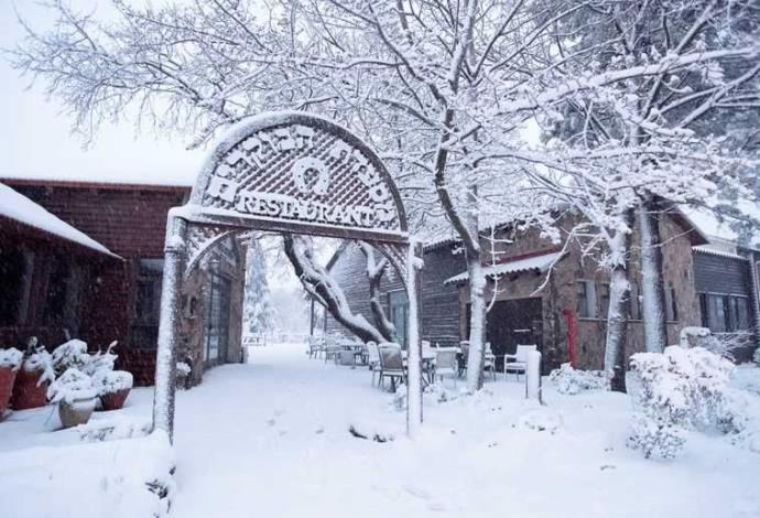 שלג במרום גולן (צילום:  אילן הדר)