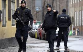המשטרה הדנית (צילום: רויטרס)