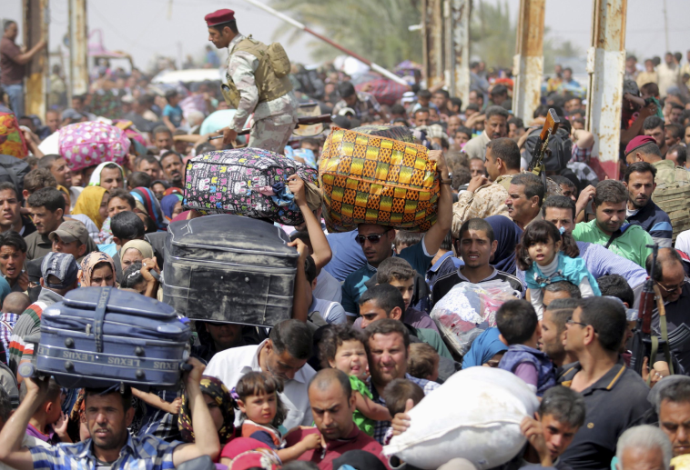 צבא עיראק מפנה פליטים מרמאדי (צילום:  רויטרס)