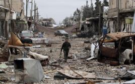 העיר קובאני בצפון סוריה (צילום: רויטרס)