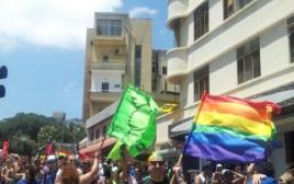 מצעד הגאווה בחיפה  (צילום: אורי שמילוביץ')
