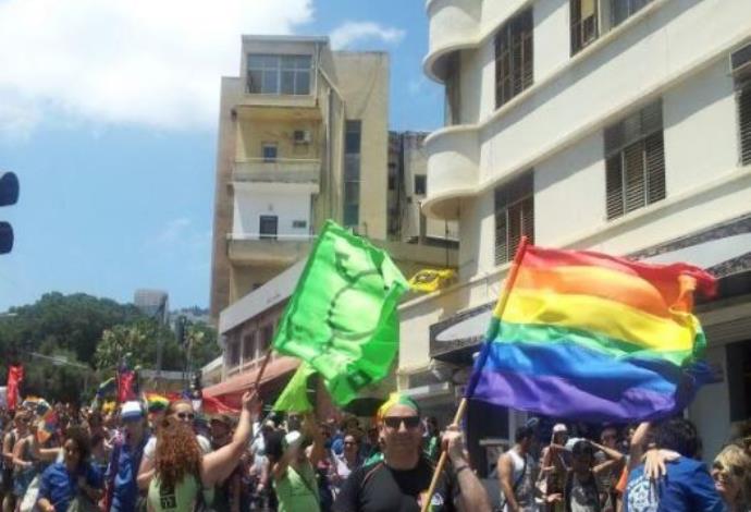 מצעד הגאווה בחיפה  (צילום:  אורי שמילוביץ')