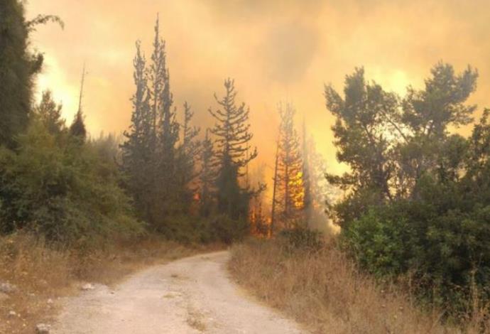 השריפה ליד בית שמש (צילום:  כבאות והצלה בית שמש)