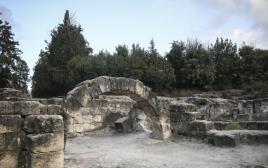האתר הארכיולוגי בית שערים (צילום: הדס פרוש , פלאש 90)