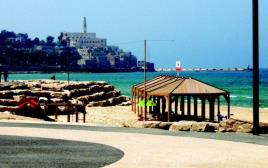 חוף תל אביב (צילום: אינגאימג)
