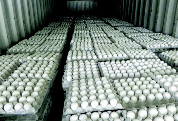 הברחת ביצים מזויפות (צילום:  משרד החקלאות ופיתוח הכפר)