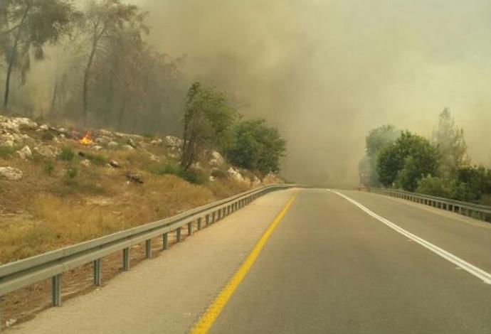 שריפה באזור בית שמש (צילום:  דוברות כבאות והצלה בית שמש)