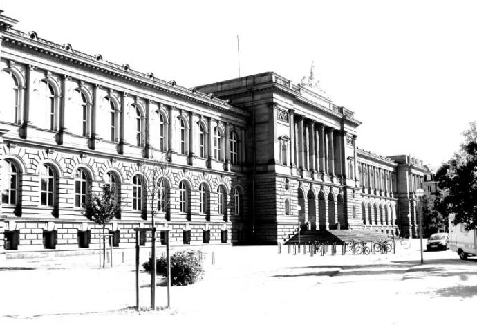אוניברסיטת שטרסבורג (צילום:  ויקיפדיה)
