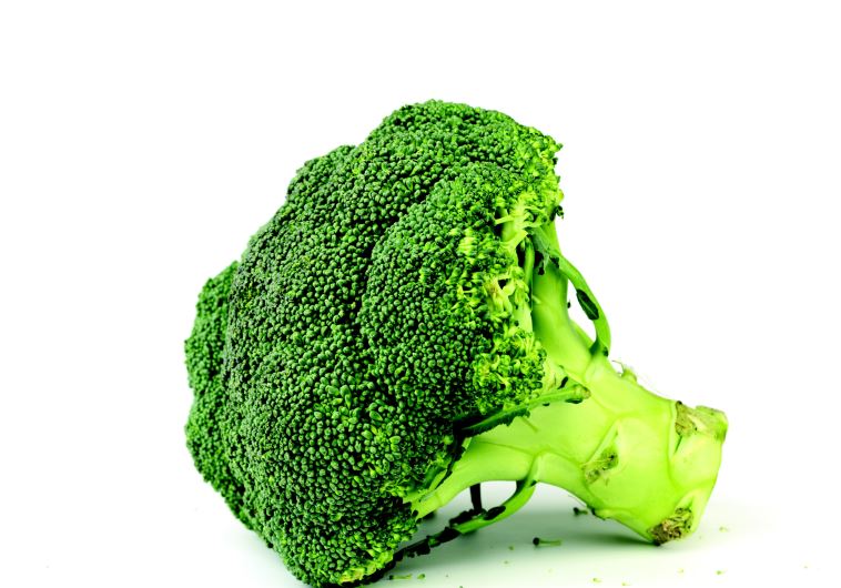 Brócoli (Foto: Ingaimg)
