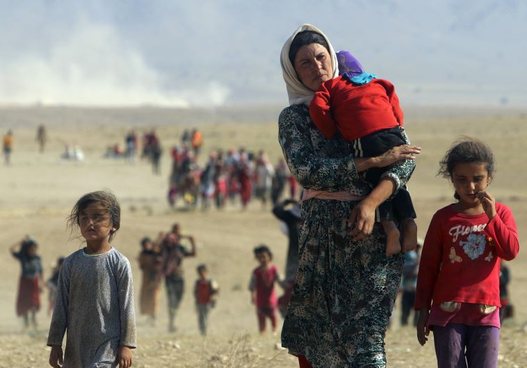פליטים יזידים בעיראק. צילום: רויטרס