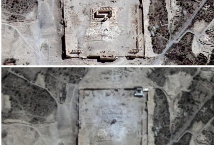 הרס המקדש בתדמור (צילום:  רויטרס)