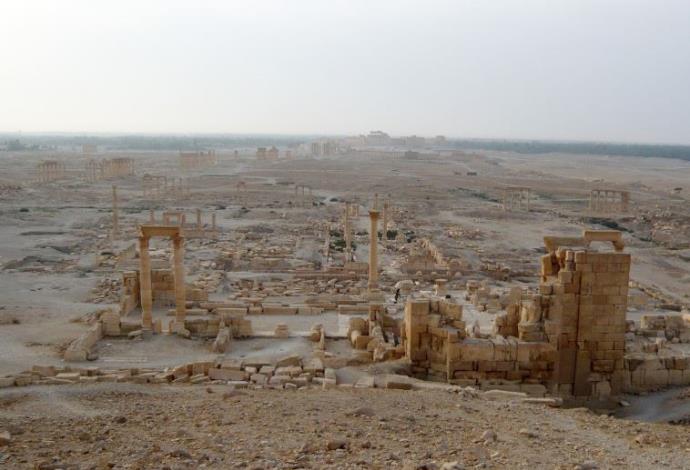 העיר תדמור בסוריה (צילום:  רויטרס)