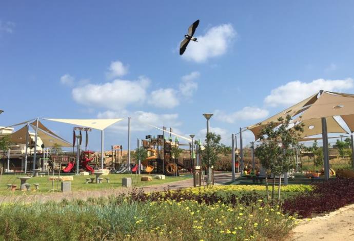 הפארק הבוטני החדש בעכו (צילום:  דוברות עיריית עכו)