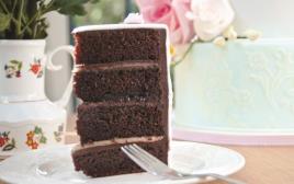 פרוסת עוגת שוקולד (צילום: דותן ברוך)