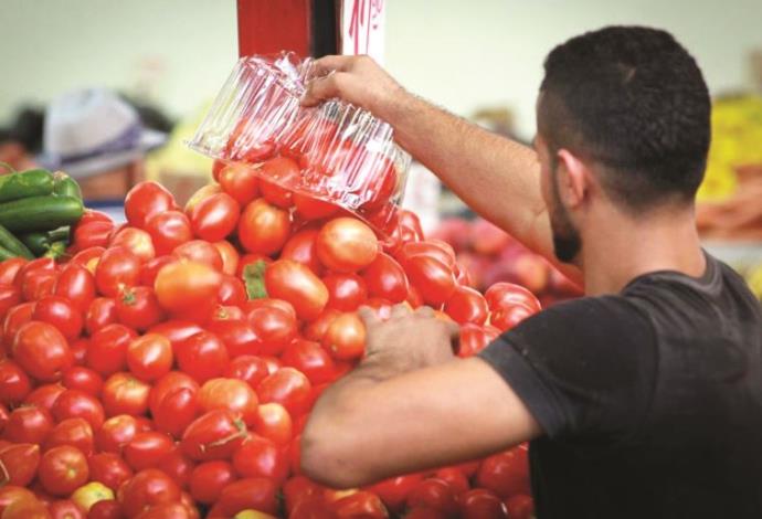 עגבניות, שוק הכרמל (צילום:  פלאש 90)