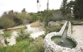 הגן הבוטני בהר הצופים בירושלים (צילום: יוסי זמיר, פלאש 90)