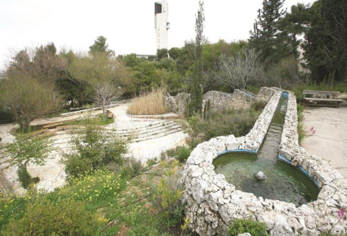 הגן הבוטני בהר הצופים בירושלים (צילום:  יוסי זמיר, פלאש 90)