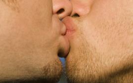 הומוסקסואלים, נשיקה (צילום: אינגאימג)