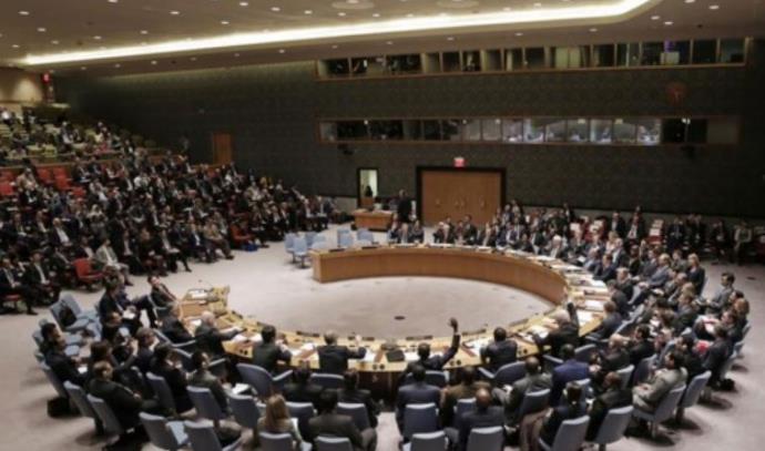 מועצת הביטחון של האו"ם (צילום: צילום מסך)