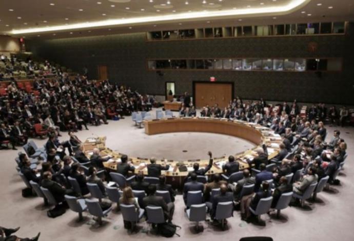 מועצת הביטחון של האו"ם (צילום:  צילום מסך)
