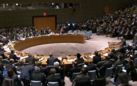 מועצת הביטחון של האו"ם (צילום: צילום מסך)