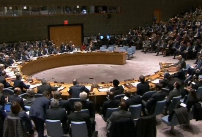 מועצת הביטחון של האו"ם (צילום:  צילום מסך)