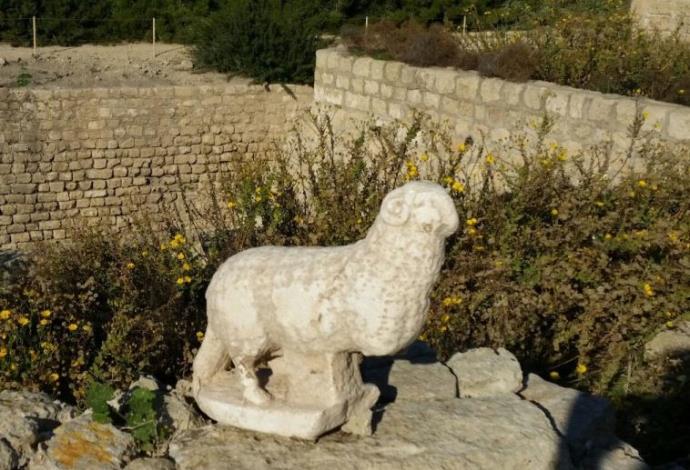פסל שיש של איל שהתגלה בסמוך לכנסיה קדומה בנמל קיסריה (צילום:  ורד שריג, נמל קיסריה)