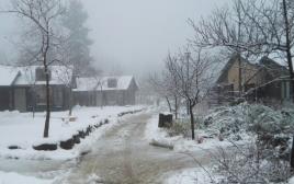 שלג במרום גולן  (צילום: שפי מור)