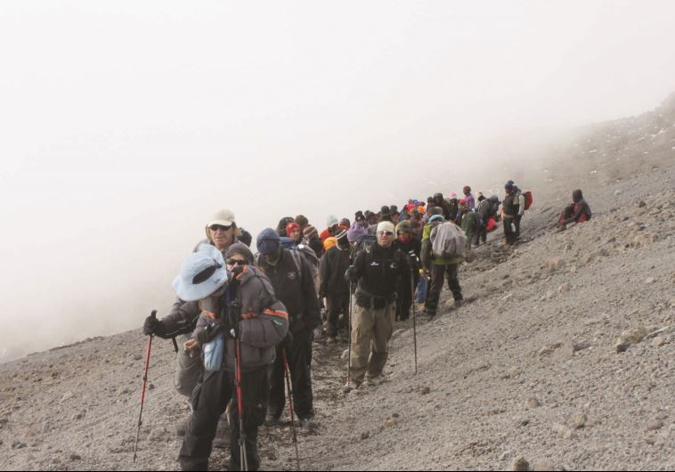 "דווקא בנקודה הזאת הפכנו לשווים". במסע על הר הקילימנג'רו. צילום: עמותת "אתגרים"