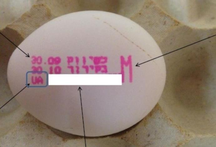 ביצים מאוקראינה שנאסרו לשימוש בשל סלמונלה (צילום:  השירותים הווטרינריים במשרד החקלאות)