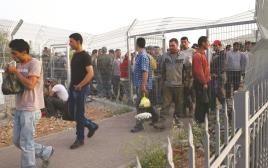 פועלים פלסטינים בדרכם לעבודה במחסום (צילום: נתי שוחט, פלאש 90)