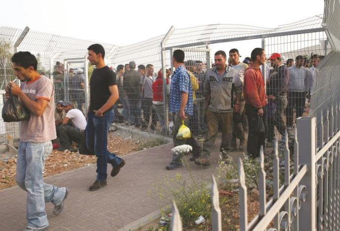 פועלים פלסטינים בדרכם לעבודה במחסום (צילום:  נתי שוחט, פלאש 90)