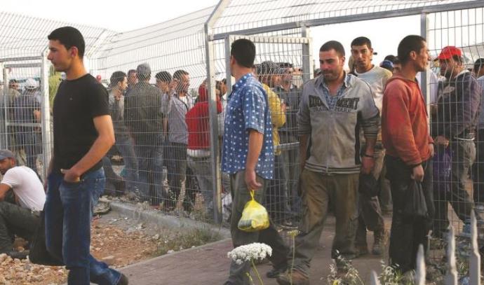 פועלים פלסטינים בדרכם לעבודה במחסום (צילום: נתי שוחט, פלאש 90)