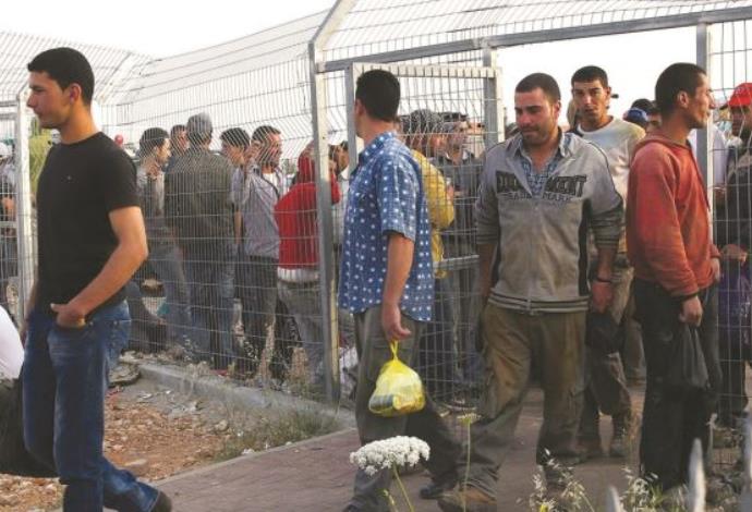 פועלים פלסטינים בדרכם לעבודה במחסום (צילום:  נתי שוחט, פלאש 90)