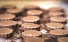 עוגיות שוקולד עם מלח ים  (צילום: אפיק גבאי)