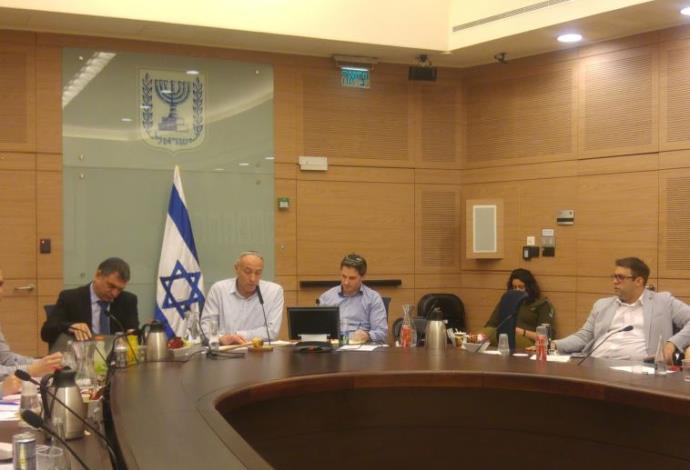 דיון בוועדת החוץ והבטחון של הכנסת  (צילום:  אהרון בן חמו)