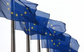 דגלי האיחוד האירופי (צילום: Getty images)