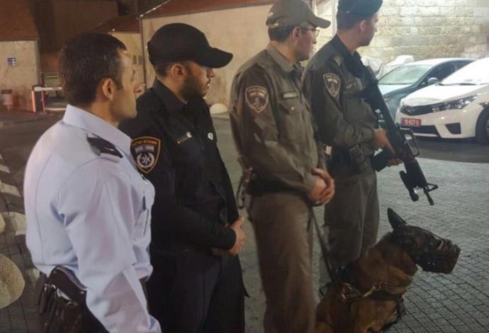 לוחמי ושוטרי מג"ב בשער שכם עם כלב השיטור (צילום:  חטיבת דובר המשטרה)