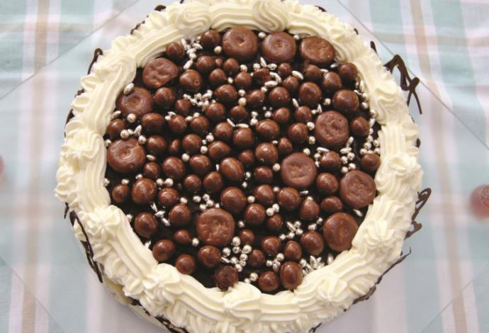 עוגת שוקולד עשירה (צילום:  פסקל פרץ רובין)