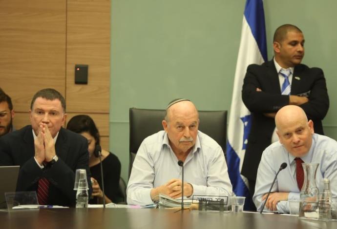דיון בוועדת החוקה של הכנסת  (צילום:  מרק ישראל סלם)