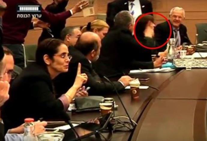 הישיבה הסוערת של ועדת החוקה (צילום:  צילום מסך מערוץ הכנסת)