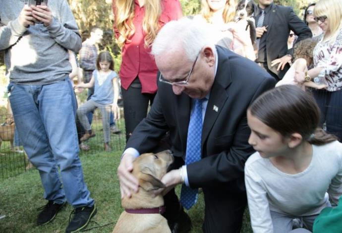 יום אימוץ כלבים בבית הנשיא ריבלין  (צילום:  מארק ניימן, לע"מ)