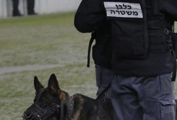 לא תמיד לטובת הציבור. משטרת ישראל. צילום: ערן לוף