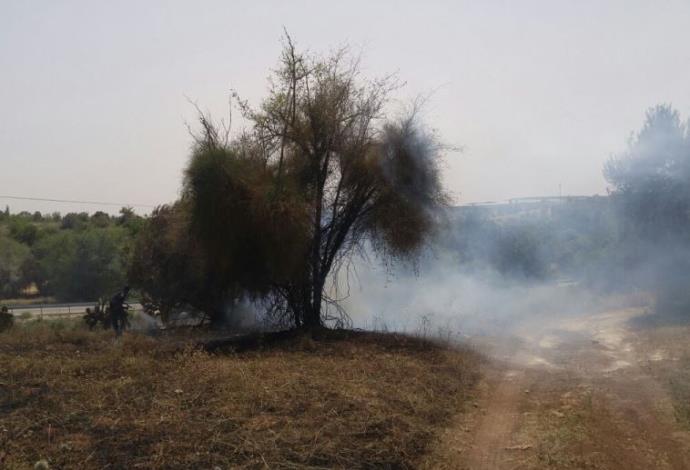 שריפת מטע הזיתים בגימזו (צילום:  כבאות והצלה איילון)